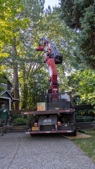 tree trimming in Sherwood, OR
